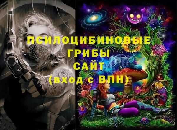 сатива Каменногорск