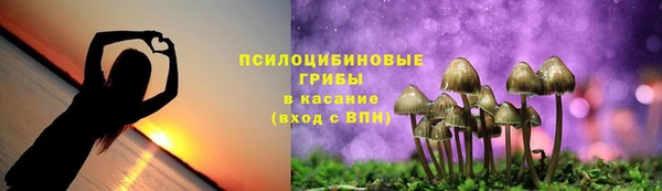 таблы Каменка