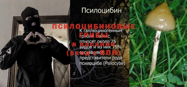 таблы Каменка
