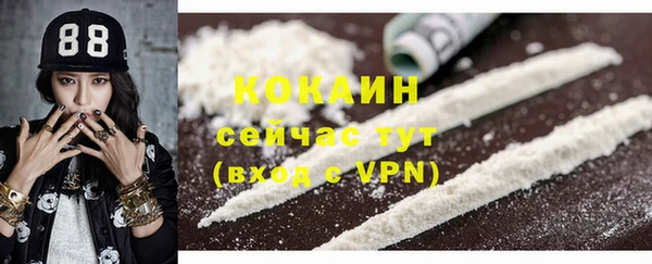 сатива Каменногорск